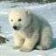 images-3